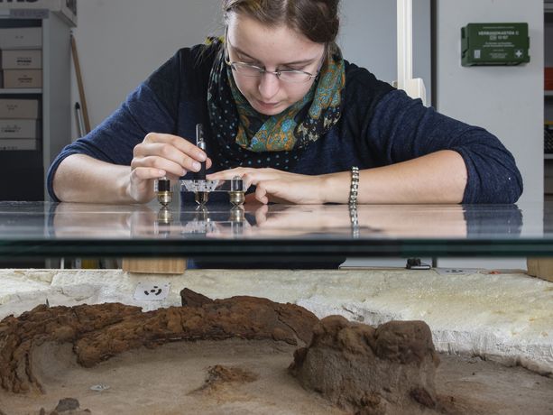 Eine Wissenschaftlerin restauriert ein Fundstück auf einer Glasplatte.